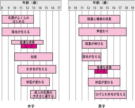 健康成長|青年の身体的成長と性的成熟